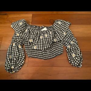 Zara Gingham Floral Crop Top XS